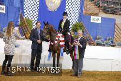 15R12_09155 thumbnail