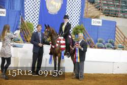 15R12_09156 thumbnail