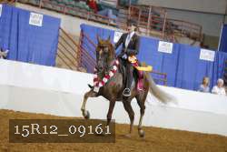 15R12_09161 thumbnail