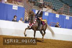 15R12_09163 thumbnail