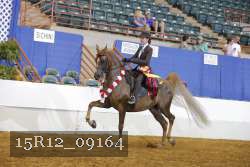 15R12_09164 thumbnail