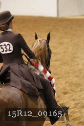 15R12_09165 thumbnail