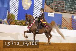 15R12_09166 thumbnail