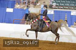 15R12_09167 thumbnail