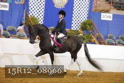 15R12_08966 thumbnail