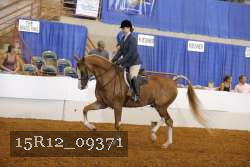 15R12_09371 thumbnail