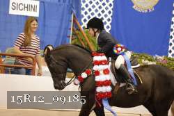 15R12_09185 thumbnail