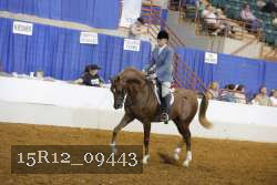 15R12_09443 thumbnail