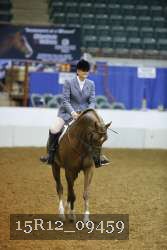 15R12_09459 thumbnail