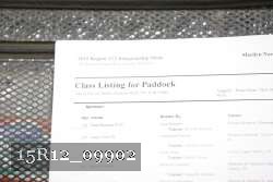 15R12_09902 thumbnail