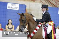 15R12_10130 thumbnail