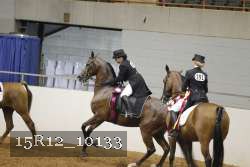 15R12_10133 thumbnail