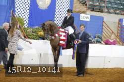 15R12_10141 thumbnail