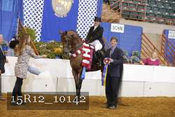 15R12_10142 thumbnail