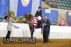 15R12_10143 thumbnail