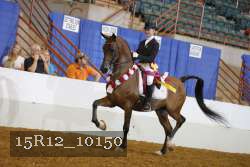 15R12_10150 thumbnail