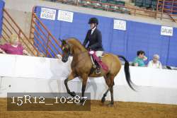 15R12_10287 thumbnail