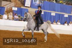 15R12_10440 thumbnail