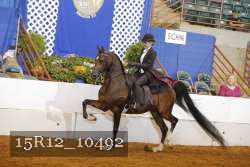 15R12_10492 thumbnail