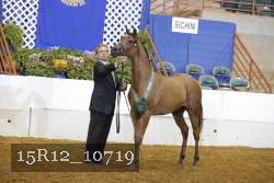 15R12_10719 thumbnail