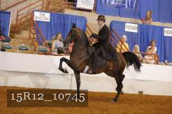 15R12_10745 thumbnail