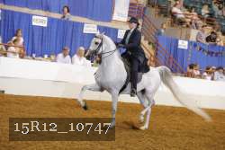 15R12_10747 thumbnail