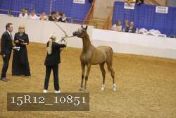 15R12_10851 thumbnail