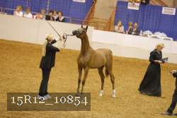 15R12_10854 thumbnail