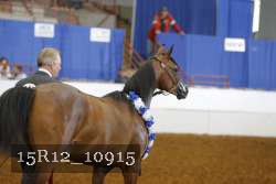 15R12_10915 thumbnail
