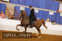 15R12_10949 thumbnail