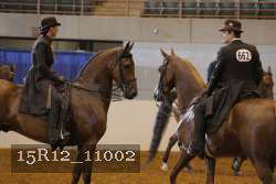 15R12_11002 thumbnail