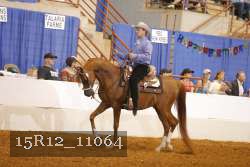 15R12_11064 thumbnail