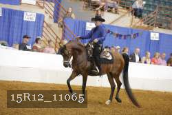 15R12_11065 thumbnail