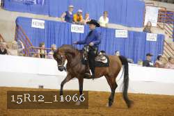 15R12_11066 thumbnail