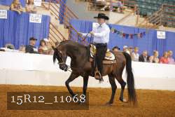 15R12_11068 thumbnail