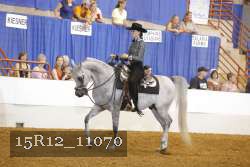 15R12_11070 thumbnail