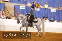 15R12_11071 thumbnail