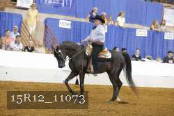 15R12_11073 thumbnail