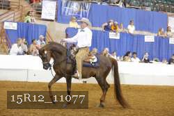 15R12_11077 thumbnail
