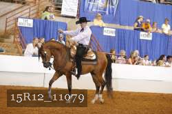 15R12_11079 thumbnail