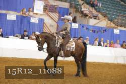 15R12_11088 thumbnail
