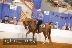 15R12_11089 thumbnail