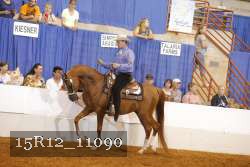 15R12_11090 thumbnail