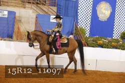 15R12_11097 thumbnail