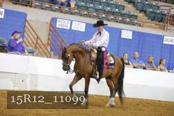15R12_11099 thumbnail