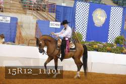 15R12_11101 thumbnail