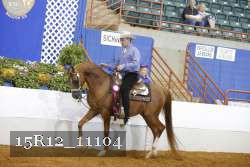 15R12_11104 thumbnail