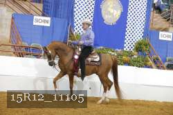 15R12_11105 thumbnail