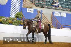 15R12_11107 thumbnail