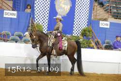 15R12_11109 thumbnail